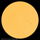 SDO/HMI Continuum Image of the Sun